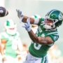 2024 CFL Fantasy Sleepers: Loads of choices in Riders’ aerial offence