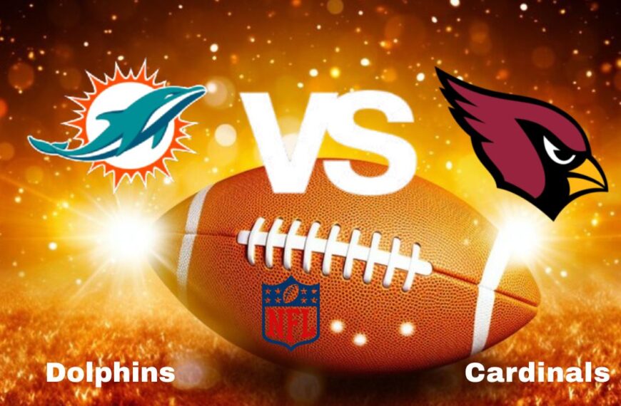 Dolphins vs Cardinals: Live Stream | NFL | How to Watch, TV, Preview, Odds, Predictions