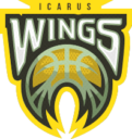 team icarus wings 1 1